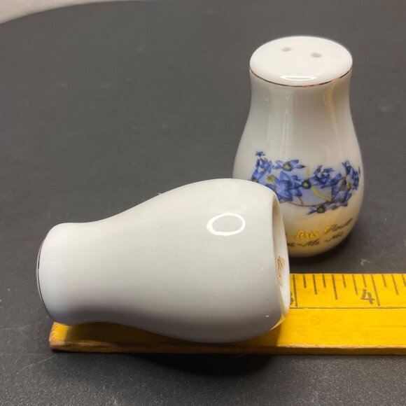 Vintage Alaska State Flower Forget-Me-Not Porcelain Salt & Pepper Shakers - Picture 10 of 10